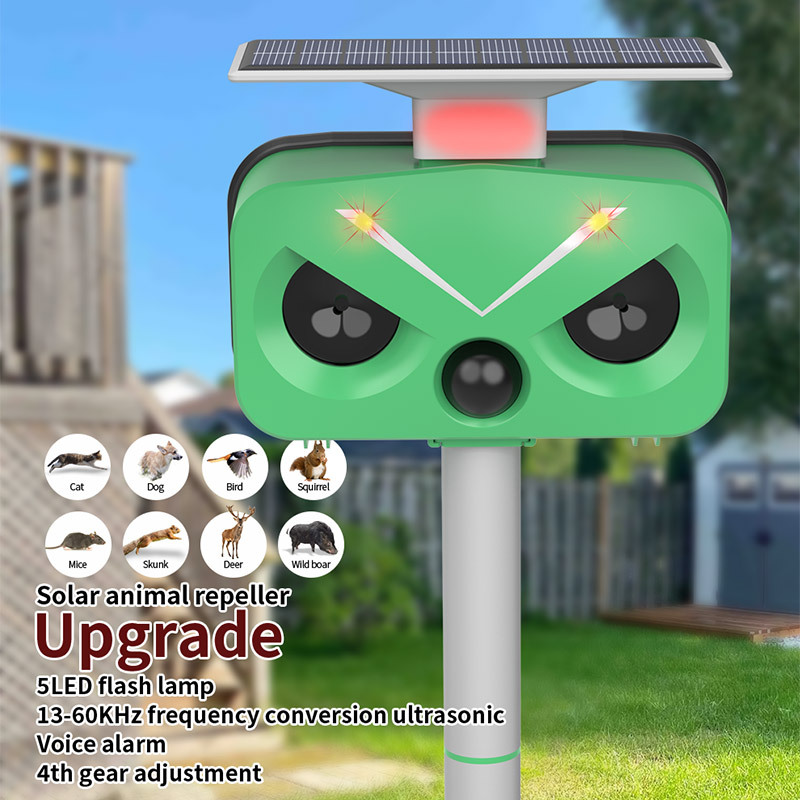 202505 Scooters