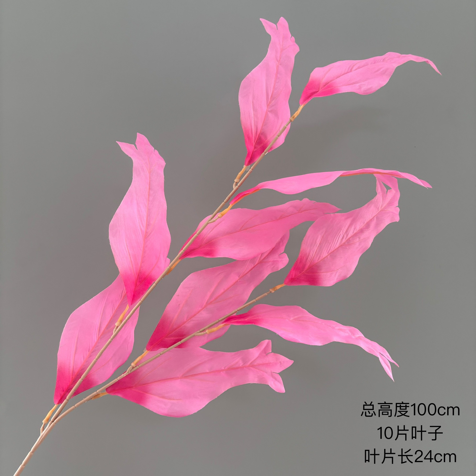 물고기 꼬리 잎