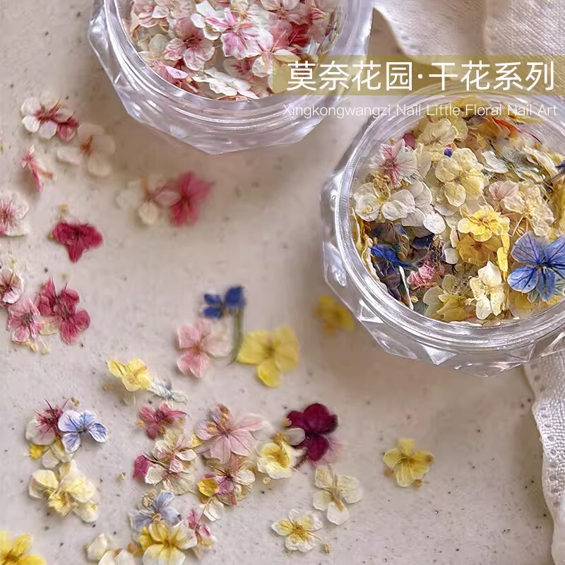 Mixed Dried Flower Materials for Nail Art, Monet Garden Popular Five-Petal Flower Materials, Floral Decorations, Small Floral Nail Accessories