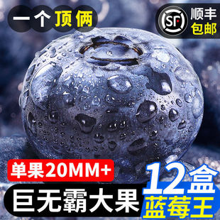 �{ݮ�����r�{ݮ����ЋD��������{ݮ���rһ�������l125g