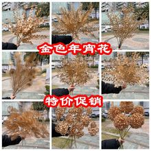 �¿��ɫ�������t���tɫ�����ɫ�ȼ�������Ͱ��Ͱ���bٻ����l