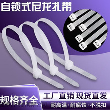 �������l���NҎ��Ӻ����� �����|�������ý��� �����ͺ��͸ߜ�