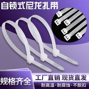 �������l���NҎ��Ӻ����� �����|�������ý��� �����ͺ��͸ߜ�