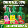 Plant nutrition solution Household -shaped potted plants universal rose hydrodexis, fleshy green Volks, flower liquid fertilizers