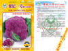 Zi Fei No. 1 purple -red cauliflower seed seed seeds about 100 purple carino balls, cabbage, cabbage specialty cauliflower