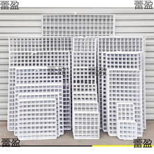 Wɫչʾܒ젝ܾW؛FWFzWӾWƬWƬ