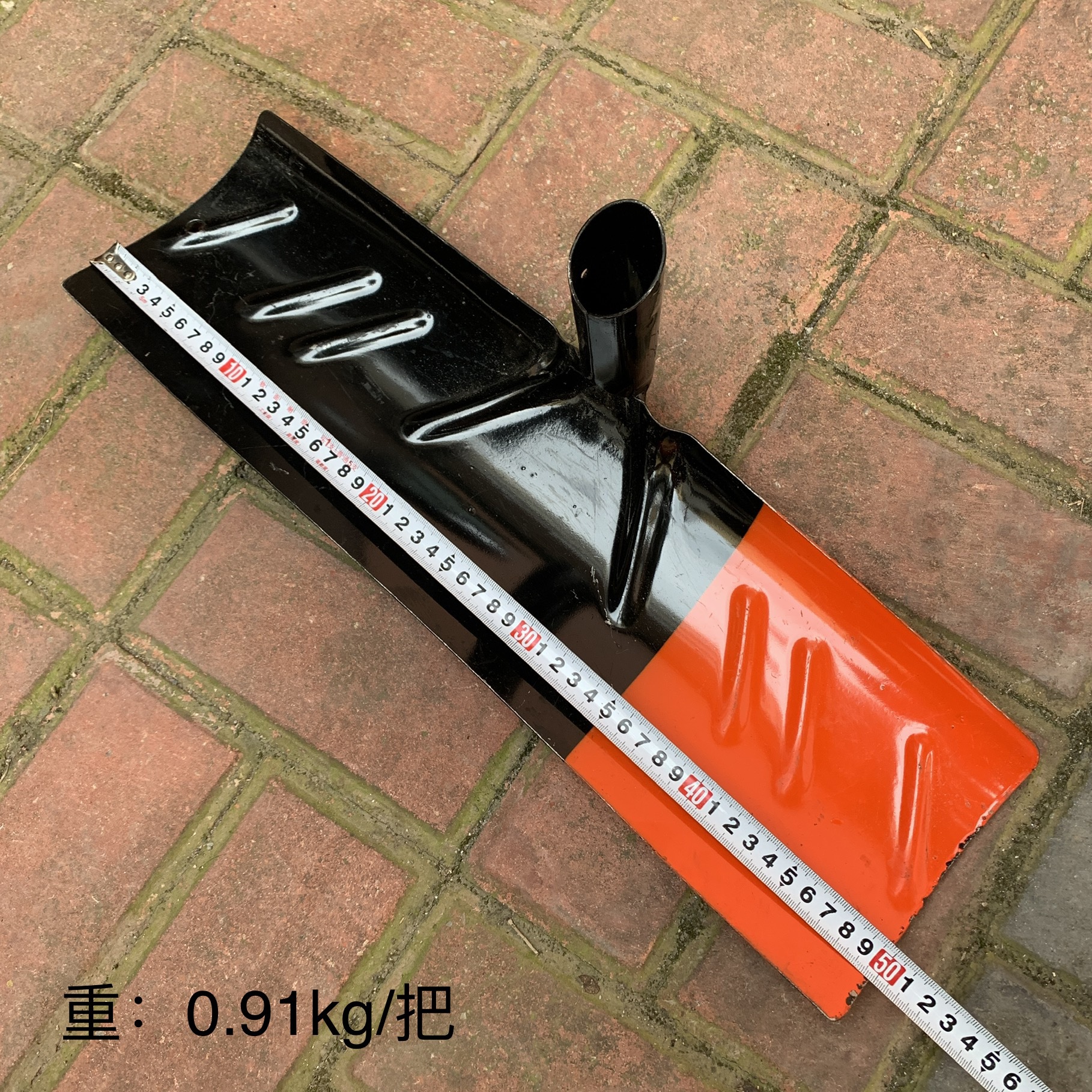 IMG_2889(20230802-073057)