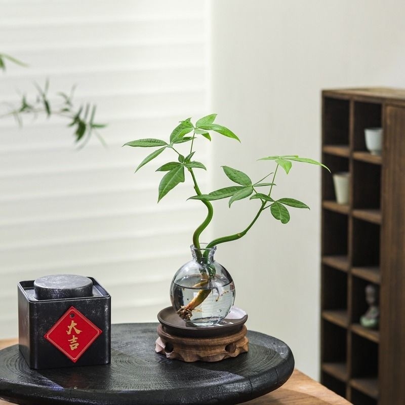 5f5e1db2-e46f-442c-87e0-0422ef3c3626.jpe