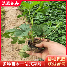 ���~ί��� ���~ί��˶�ѿ �G������������ľ��[�û����~ί���