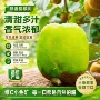 陕西周至新鲜孕妇奇异果