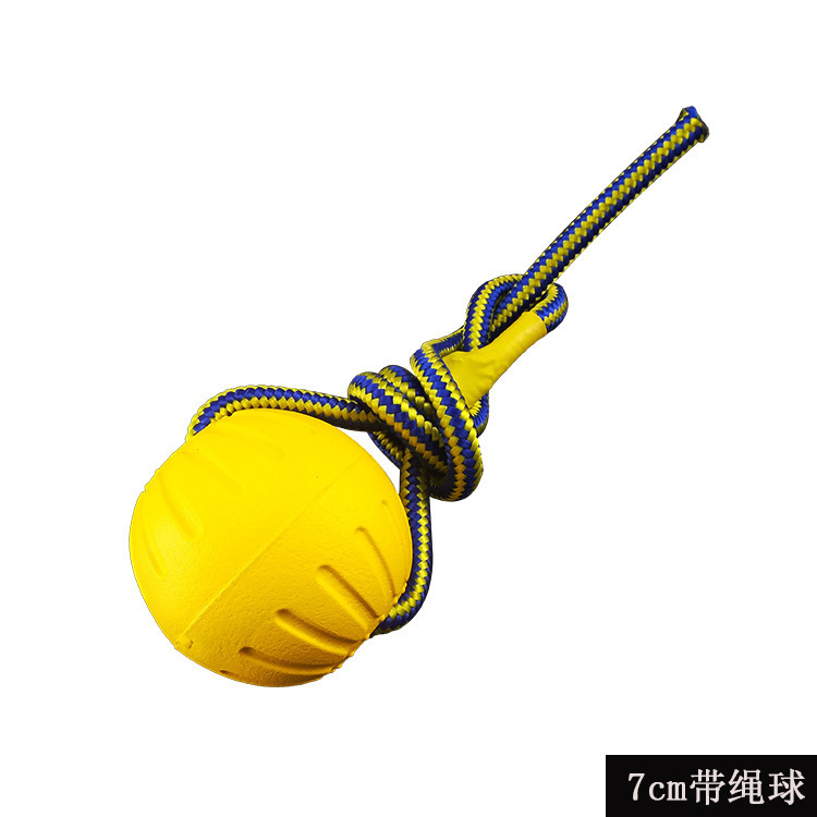 可贴标现货EVA拉环浮水宠物玩具飞盘狗狗耐咬带绳球磨牙金毛玩具|undefined