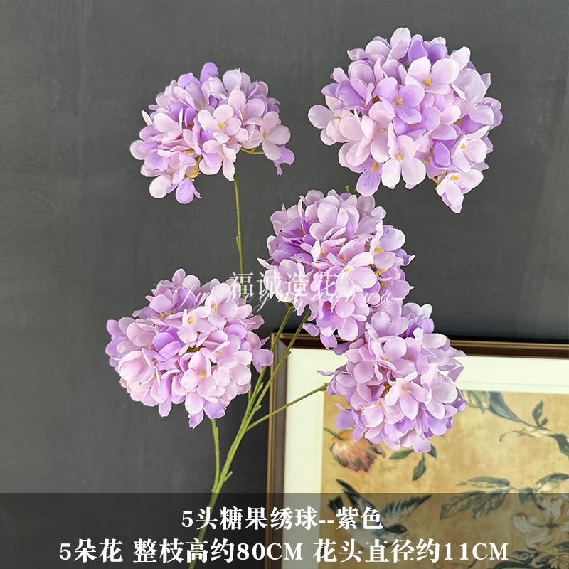 보라