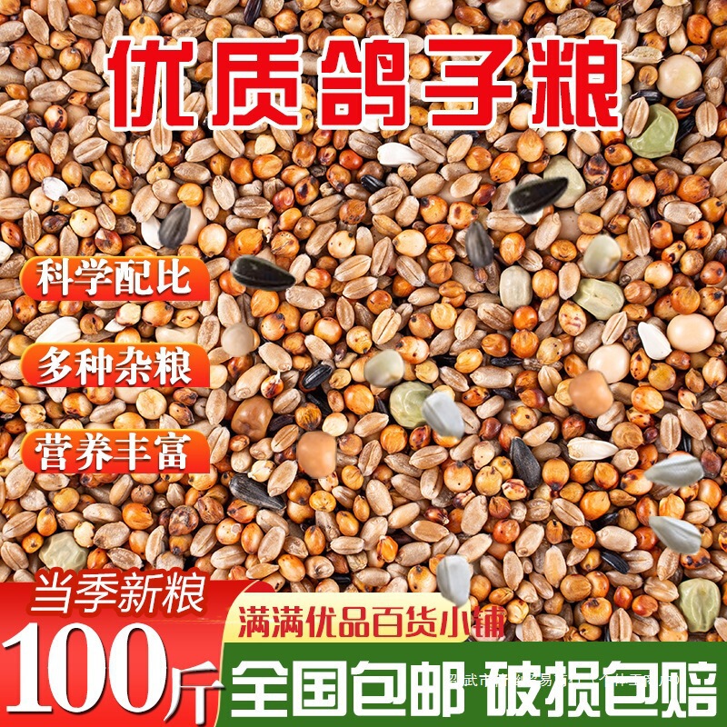 Pigeon Food Without Corn, Pigeon Food, Nutritious Feed, Bird Food, Ornamental Pigeon, Meat Pigeon, Young Pigeon, Adult Pigeon Food