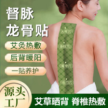 ���}���Ǿ��N�ݱ��S�ҏ�����ů�N��׵���}�Nȫ��ͨ�������N�����N