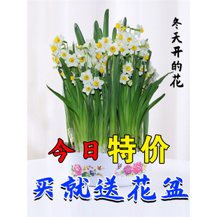 ˮ�ɷN��ˮ��ֲ���ļ��_���N��ˮ�B�Gֲ�����҃��L���Ӱٺ���ˮ��