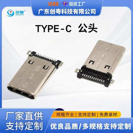 TYPE C 12PIN 沉板0.95公头两脚贴板 单排贴片 L=13.6 卧式贴板