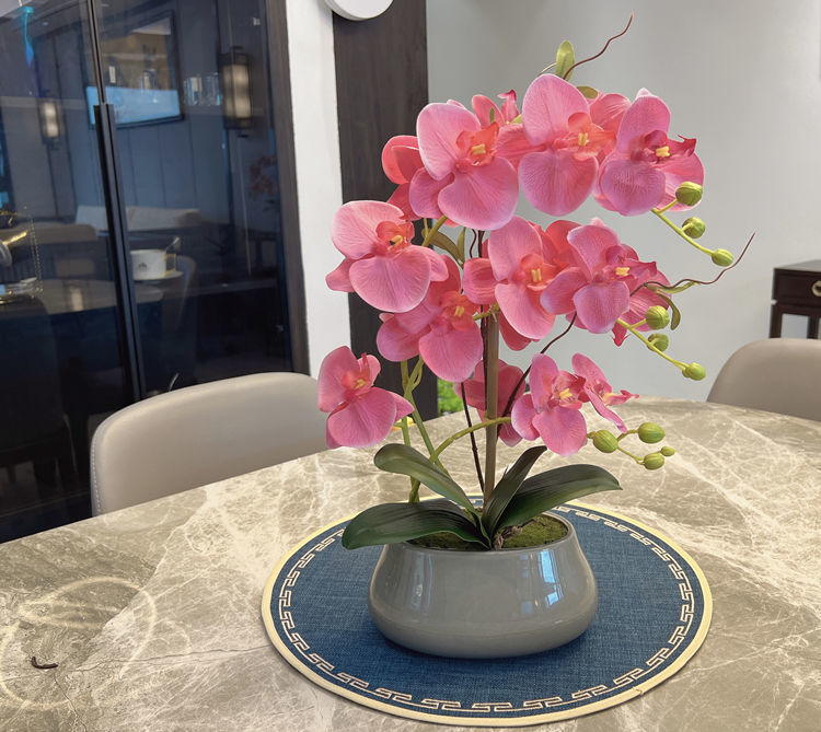 1903d2d3-cc29-4a6e-8bec-e6fc711213f8.jpe