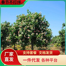 һ�����l����\���������ļ��Nֲ�\�������辰�߲ʻ����ͺ��͟�ͥ