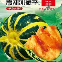 �������������ϷN����Ƥ���������Ѵ����ļ�ͥԺ�̨ˮ���N��