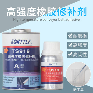 TS919���z���a�� �ߏ���Ƥ��݆̥�Ɠp���a919N���͎�ݔ�͎����a�z