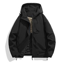 ɭ2025ﶬ¿ʯīϩrͨBñůH