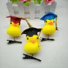 Doctoral hat duck