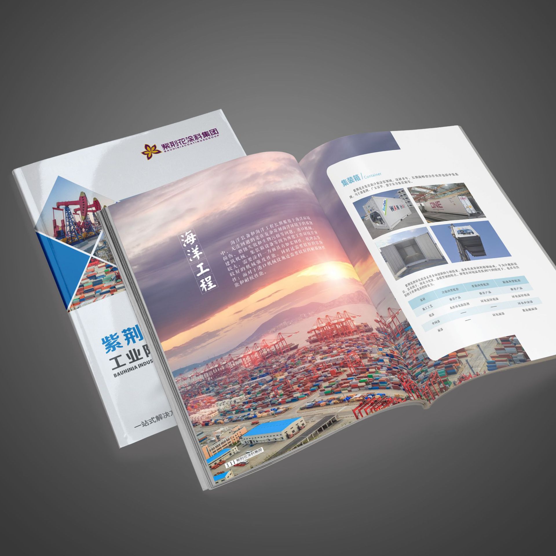 ��װ�鼮ӡˢ��ҵ���鿯��־���������ʷ���ϵط�־����༭����