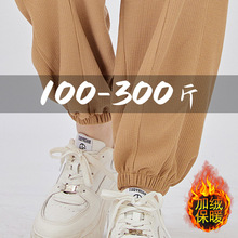 300����mm�ӷʼӴ��뻪�����������Ů200������ش��������˶���
