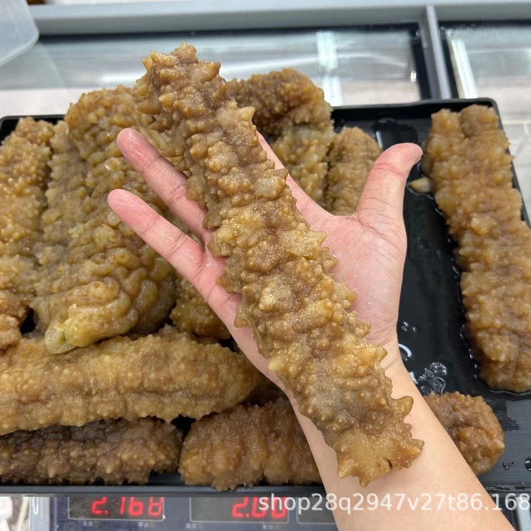 黄玉参澳洲进口野生海参淡干黄肉参深海白刺参猪婆参酒店滋补食材