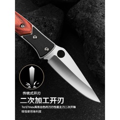 Fruit knife, home use, folding, convenient, handle meat small knife, suitable for height, hardness stainless steel, mini outdoor knife, sharp