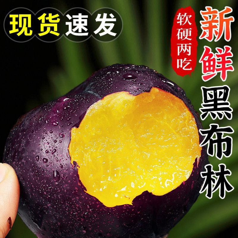 黄肉黑布林李子斤新鲜当季现摘黑金刚恐龙蛋脆孕妇大果包邮