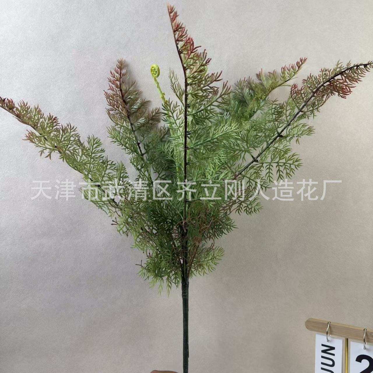 페르시아 고사리 잎