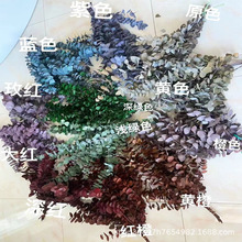 �������ȼ����~ ���~ͩ�X�� ����~��cܛ�b���������ȼ���