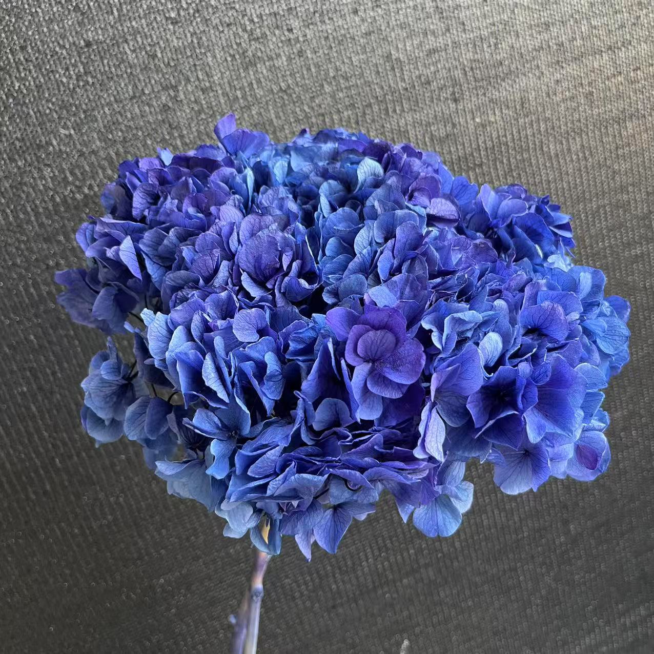 azul más morado