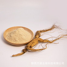 Lɽ˅ t  ginseng Korean red ginseng