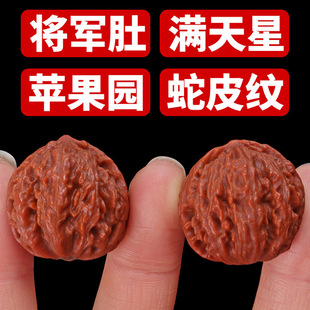 �������С��������ŮС�ְѼ���������������ָ�g������ʿ���l