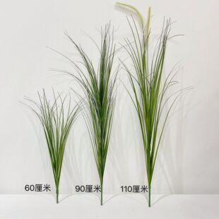 �����JȔ�� ��β�� ���[��Ӱ��zӰ�쾰���չ��̻�cܛ�b����ֲ��