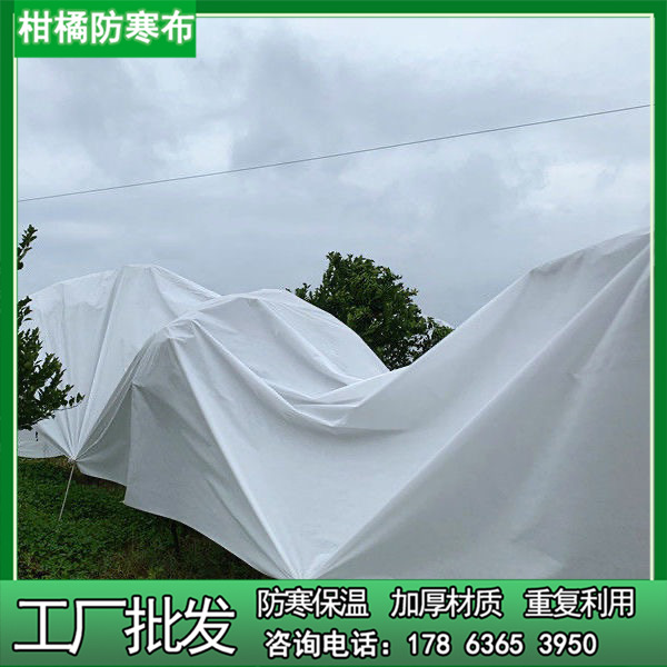 厂家批发柑橘果树防寒布果园专用透光透气防霜防雪布保温防雨防水