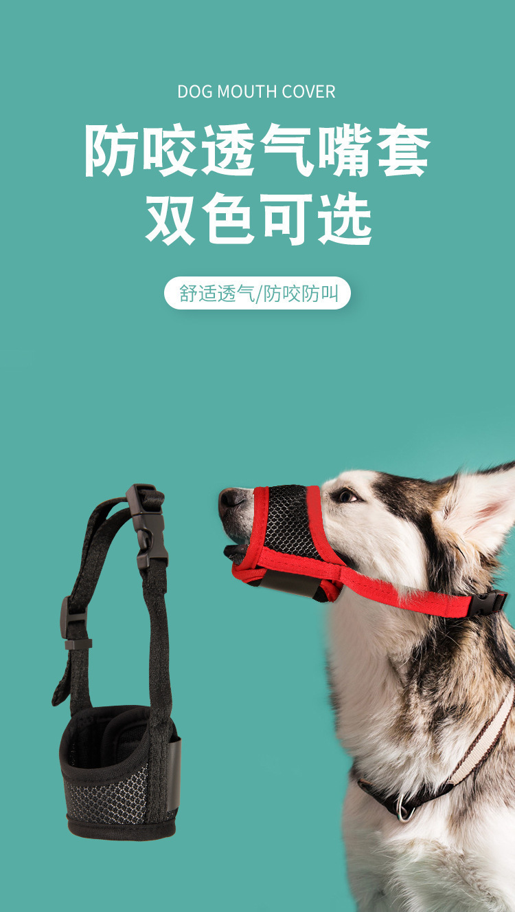 O1CN01cc0yUu1rO0a7cTqXt_!!2211