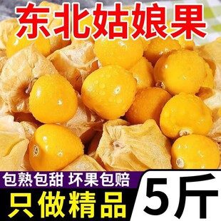 ���]���\���|�������ЋD��������r�t�����S3���������5����ˮ��