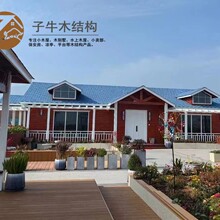 台州木屋厂家直销中式装修农村木别墅双层休闲度假乡村模块化别墅