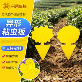 外贸花型异形粘虫板黄板蓝板农用 昆虫陷阱园林果园驱虫粘蝇贴