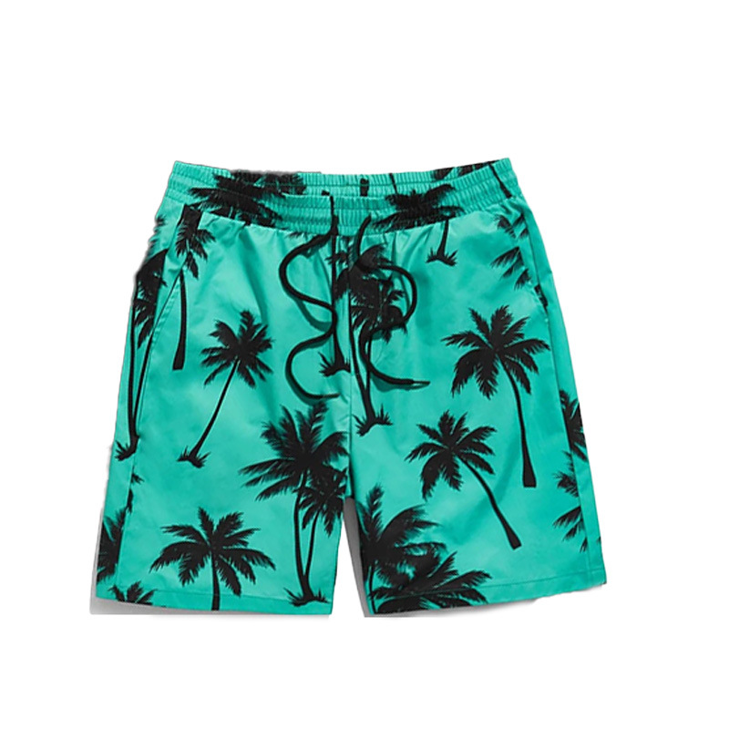 Men's Summer round Neck Short Sleeve Beach Pants Set 3D Print Hawaiian Style Trendy Two Piece Casual Clothing_viptrois.com