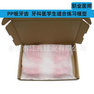 Oral Suture Practice Model Teaching Silicone Module Equipment Dental Medical Student Training with Base Teeth Module