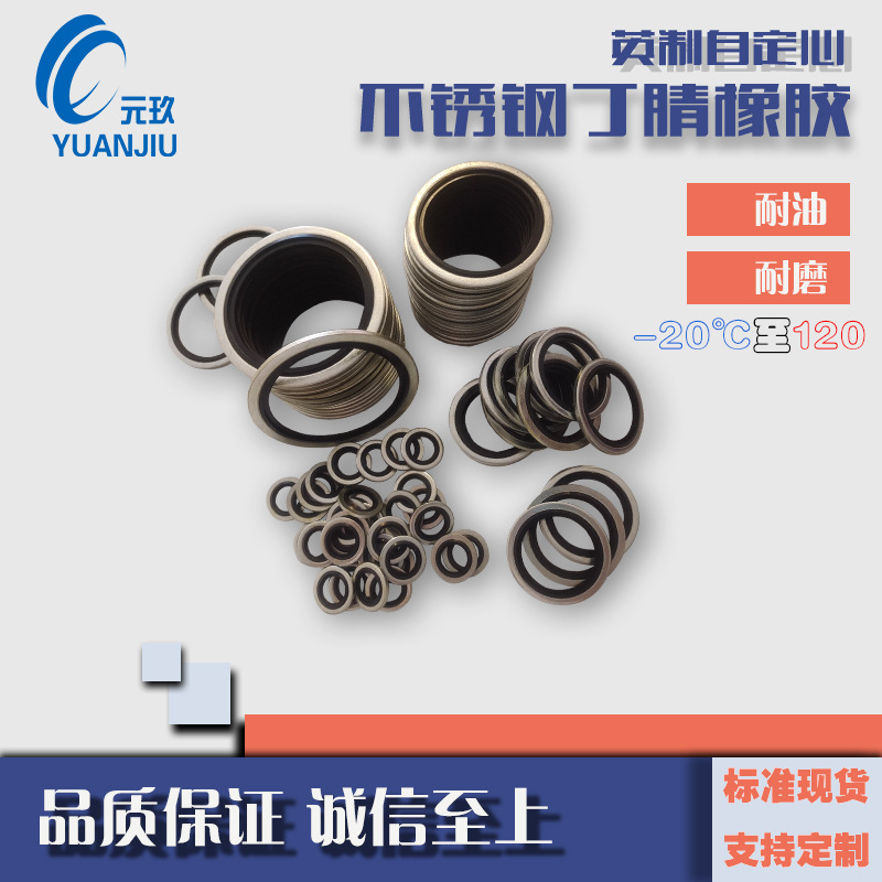 316不锈钢304丁腈橡胶组合垫圈G2G1/4G3/8耐超低温密封圈耐低温