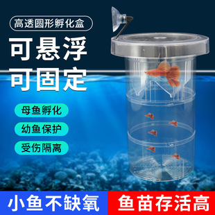 Small fish hatching isolation box can float can be sucker fixed can be extended hatching box