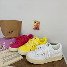 2024¿nСЬŮԭ޽İٴСЬɫ͸Ь