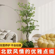 ���s���ֵ����Gֲ�҃ȿ͏d�������b[�����ʽ����ֲ��ins�L