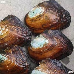 �Լ��������l�����������Ӱ���������_���r��ȡ��ˮ���������