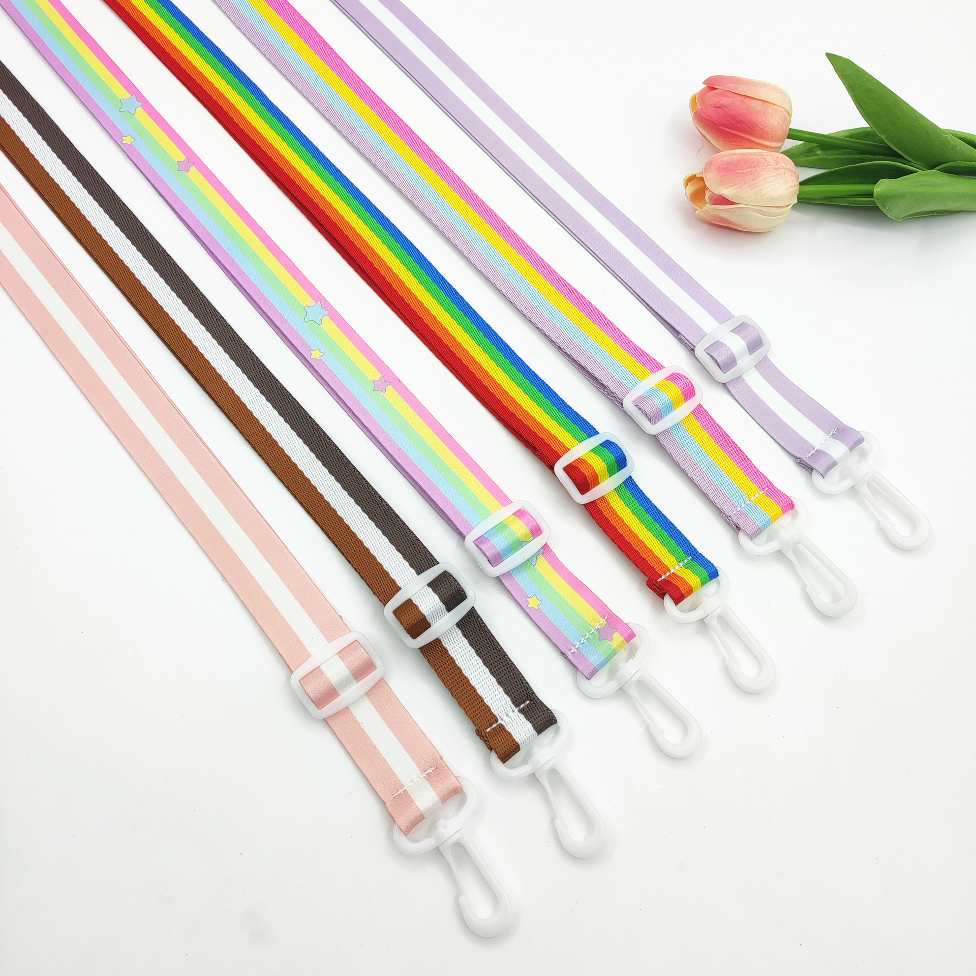 Bag Lanyard, Colorfulful Bag Strap, Shoulder Strap, 2.5cm Strap, Plastic Buckle, Narrow Strap, Adjustable Long Strap, Multifunctional Strap
